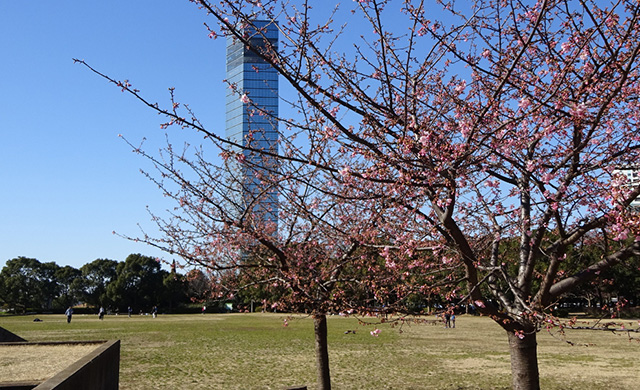 Chiba Port Park