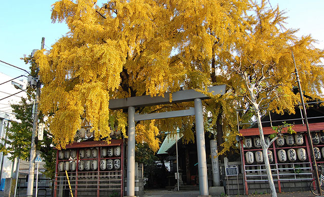 筑地 波除神社