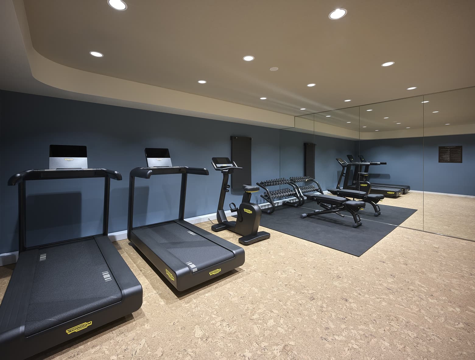 러닝머신, 실내 자전거, 웨이트랙, 커다란 거울 벽을 갖춘 넓고 현대적인 피트니스 룸.