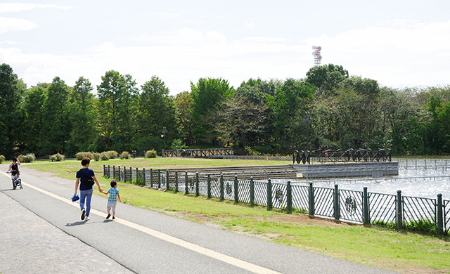 Chiba Prefecture Kashiwanoha Park
