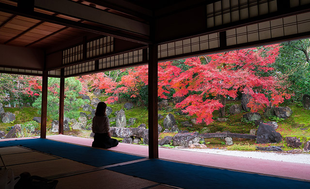 圓徳院