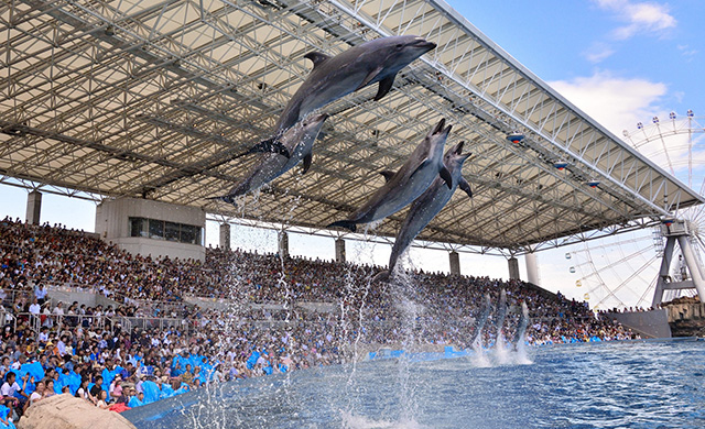 名古屋港水族館