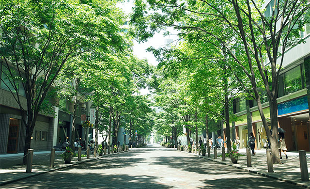 Marunouchi Nakadori