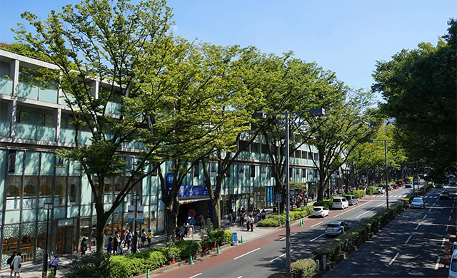 Omotesando