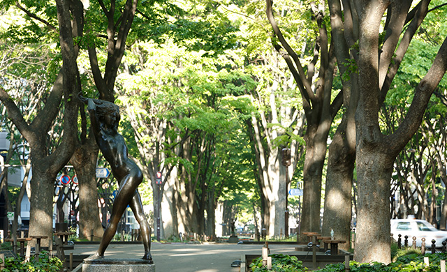 Aoba-dori Avenue and Jozenji-dori Avenue