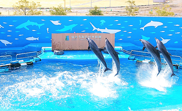 仙台うみの杜水族館