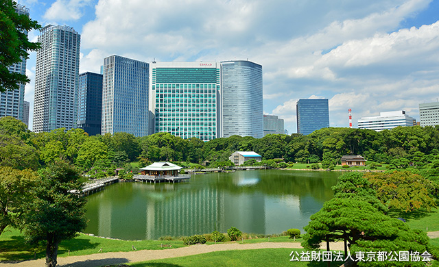 浜離宮恩賜庭園