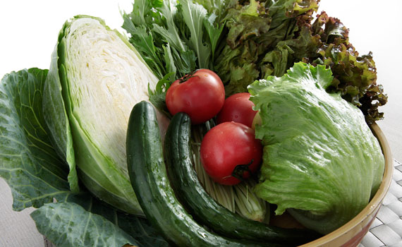 每日產地直送的新鮮蔬菜，讓您品嚐出不同之處