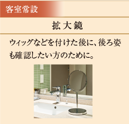 拡大鏡　ウィッグなどを付けた後に、後ろ姿も確認したい方のために。