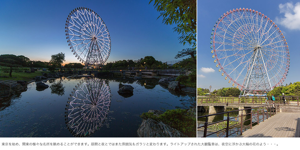 画像: スタッフジャーナルの写真
